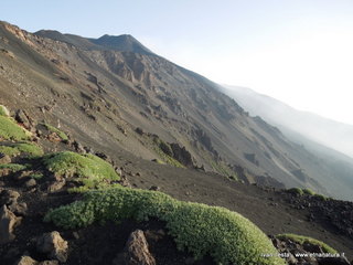 ntagnola-06-07-2014 07-17-34